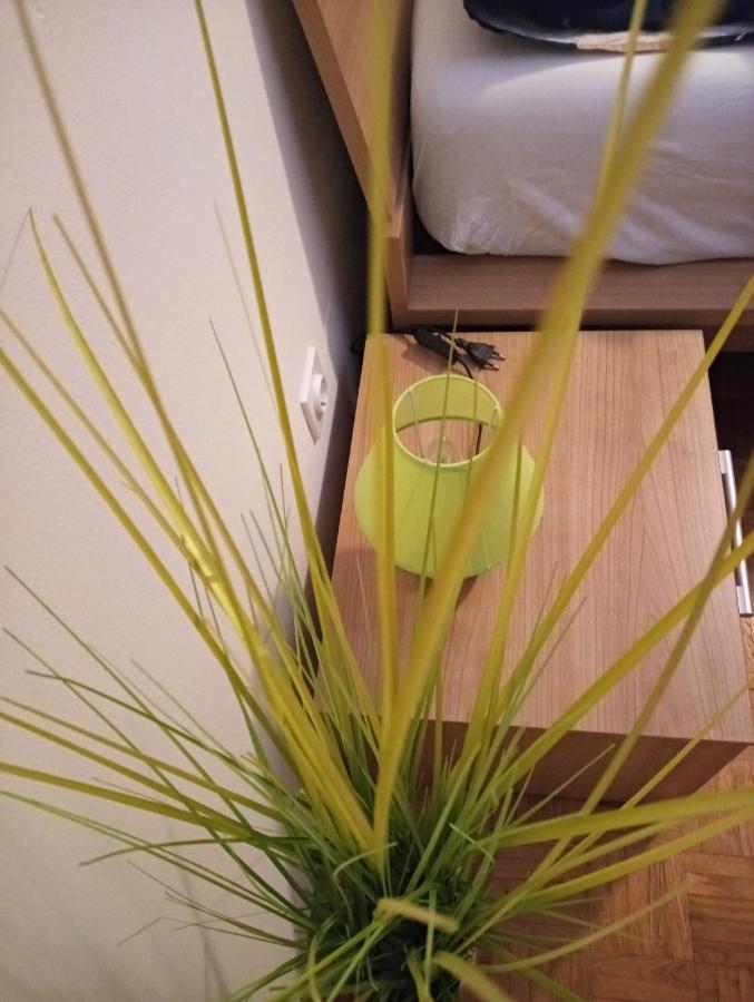 Apartment San Izola - Near The Beach Eksteriør bilde