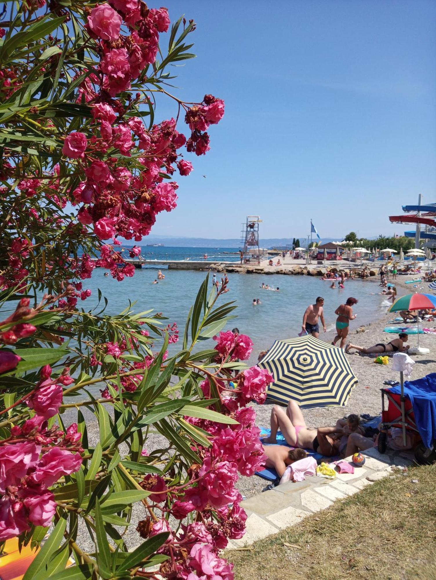 Apartment San Izola - Near The Beach Eksteriør bilde